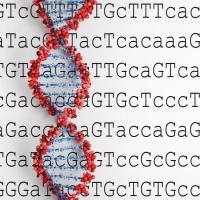 外泌体miRNA测序