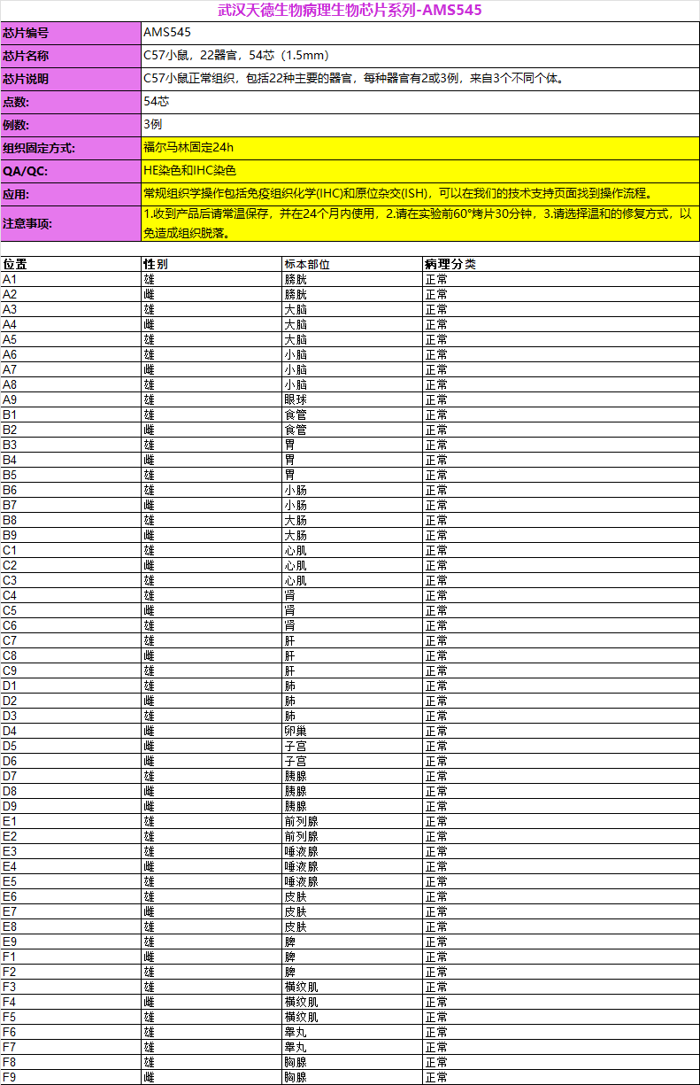 C57小鼠,22器官,54芯(1.5mm)