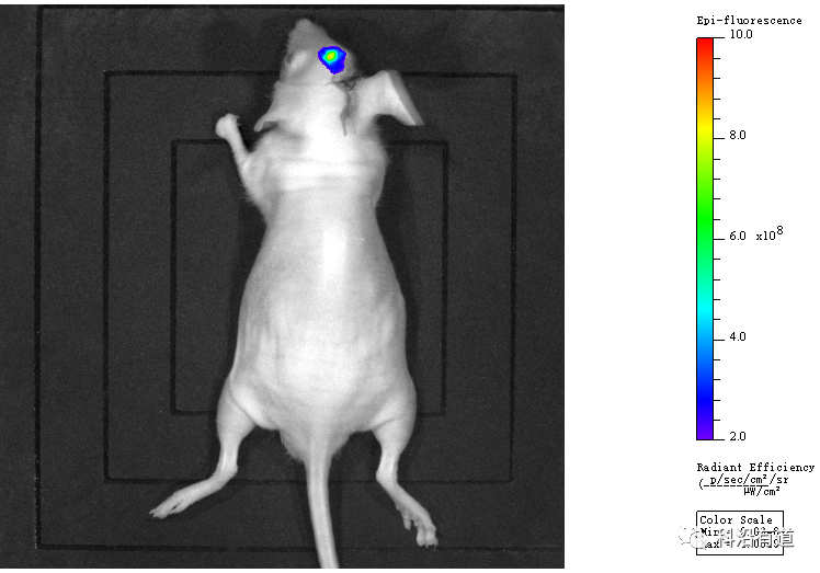 1676279532392628.png 图片