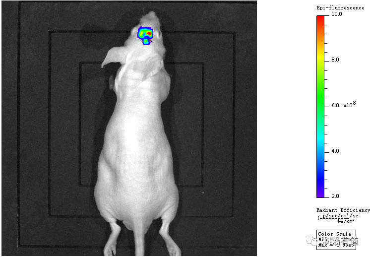 1676279533528070.png 图片