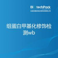 组蛋白甲基化修饰检测wb