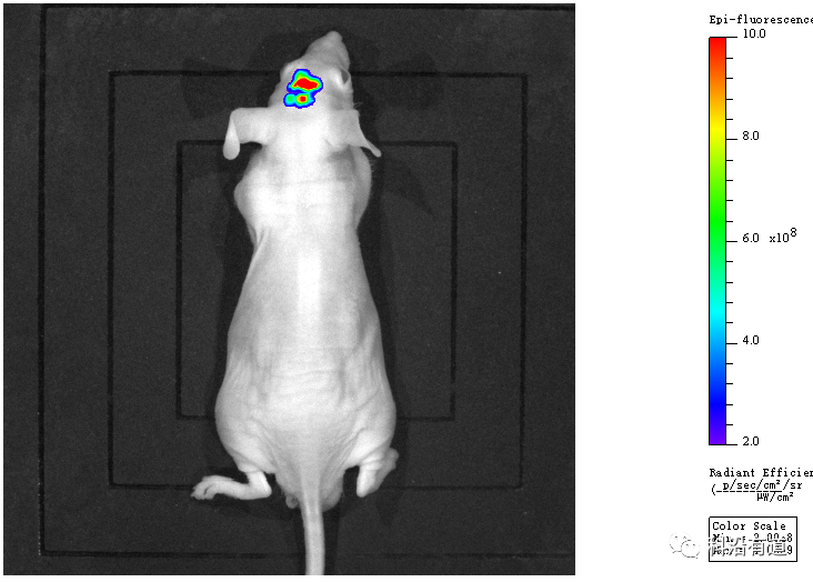 1676279534643529.png 图片