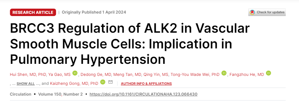 去泛素化酶BRCC3调控肺血管重构及肺动脉高压发生发展过程
