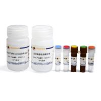 延胡索酸检测试剂盒(WST-8法)