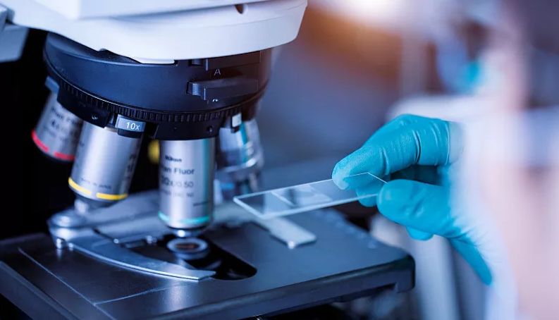 硕玺生物——WB实验问题条带