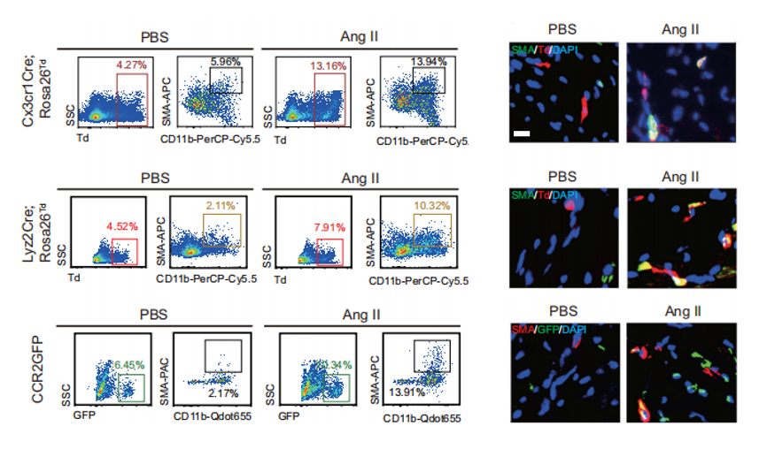 1725860877110100.png 640_wx_fmt=png&from=appmsg (4).png