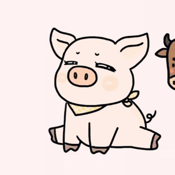 新品猪源性成分快速检测卡（养殖场专用）