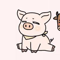 新品猪源性成分快速检测卡(养殖场专用)