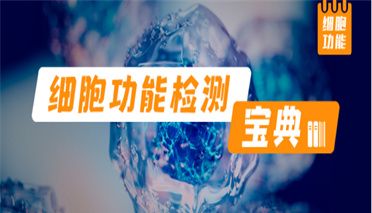 细胞功能 | CCK-8实验结果异常？一文教你见招拆招