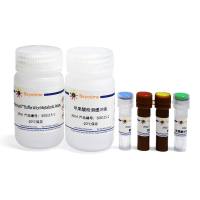 L-苹果酸检测试剂盒(WST-8法)