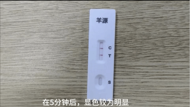 羊源性成分快速检测试剂盒(胶体金法) 说明书