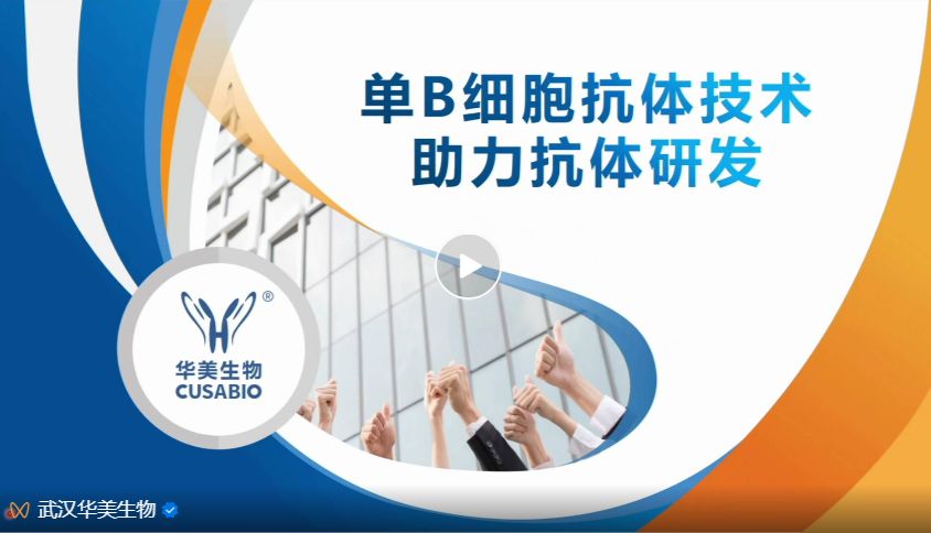 讲座回顾|单B细胞抗体技术助力抗体研发