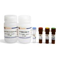 异柠檬酸检测试剂盒(WST-8法)