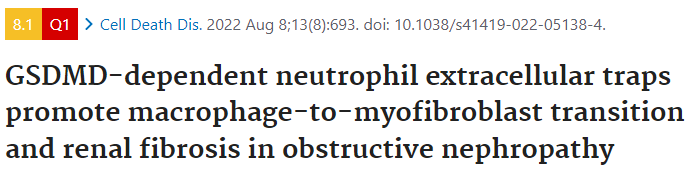 1725860911757418.png 640_wx_fmt=png&from=appmsg (7).png