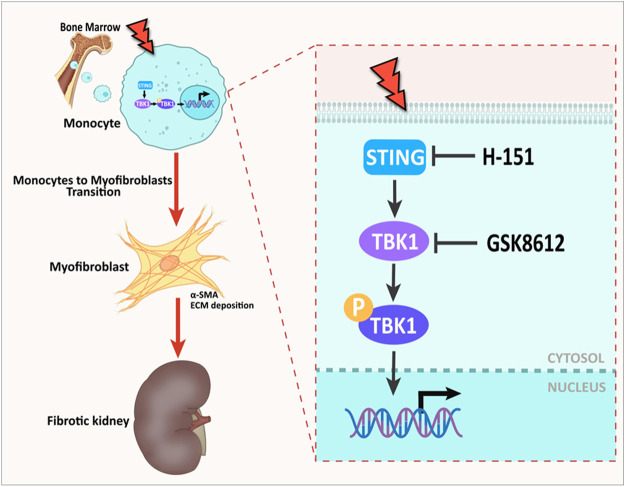 1725860857591853.png 640_wx_fmt=png&from=appmsg (1).png