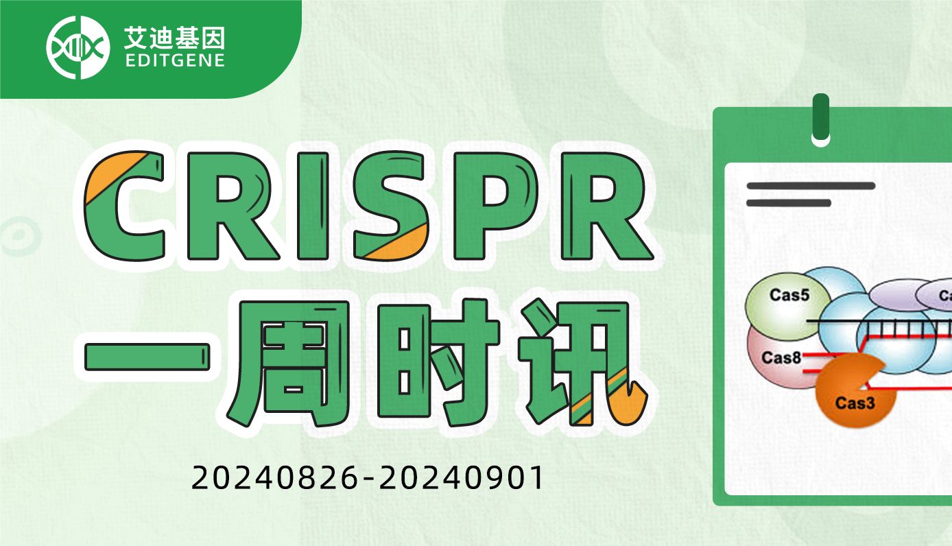 突破性发现：Cas酶家族中的NlaCas3 I-C型Cas3酶结构曝光！