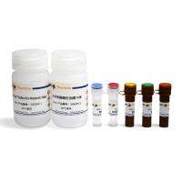 延胡索酸酶活性检测试剂盒(WST-8法)