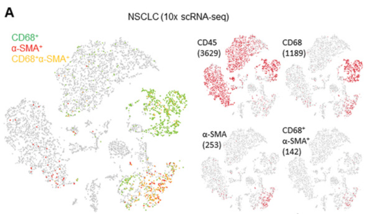 1725860863604559.png 640_wx_fmt=png&from=appmsg (2).png