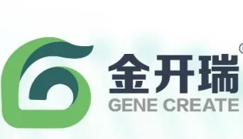 【客户文献分享】SGLT2 抑制剂达格列净可改善高尿酸血症性肾病的肾脏纤维化
