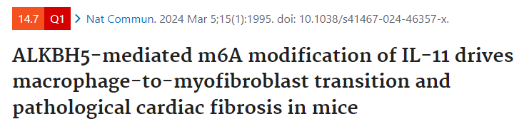 1725860899397267.png 640_wx_fmt=png&from=appmsg (5).png