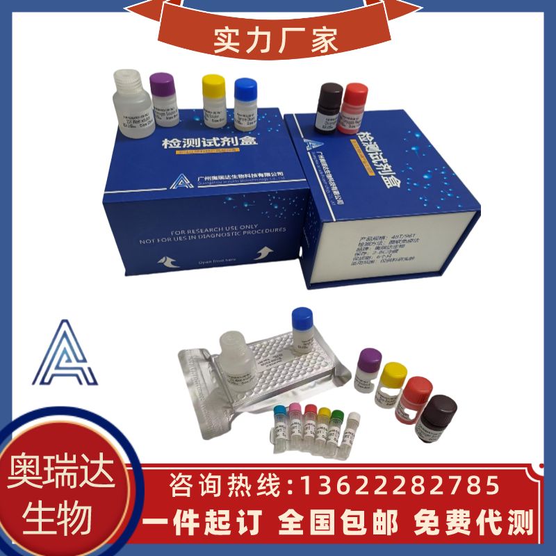 人杀伤细胞免疫球蛋白样受体（KIR）检测试剂盒