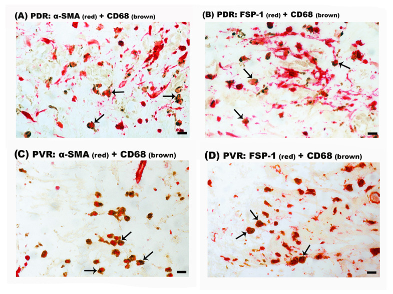 1725860872498438.png 640_wx_fmt=png&from=appmsg (3).png