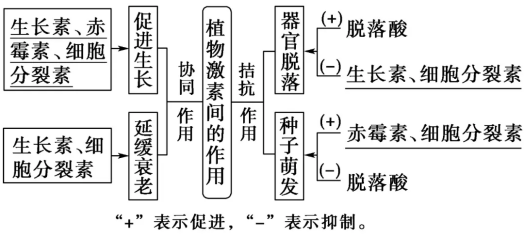 植物激素的分类及作用机制