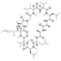 NIM811 ((Melle-4)cyclosporin)