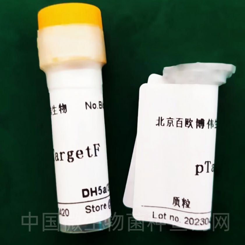 pK7WG2D,1