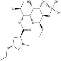 Clindamycin Phosphate