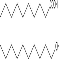 20-hydroxy Arachidic Acid