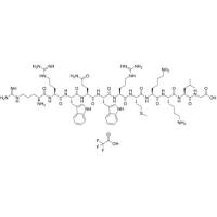 Lactoferricin B (4-14), bovine TFA