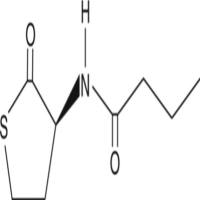 N-butyryl-L-Homocysteine thiolactone