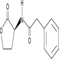 N-phenylacetyl-L-Homoserine lactone