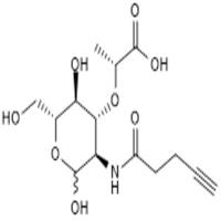 Click N-Acetylmuramic acid - alkyne