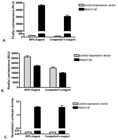 BPS-两步荧光素酶检测系统促销