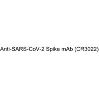 Anti-SARS-CoV-2 Spike mAb (CR3022)