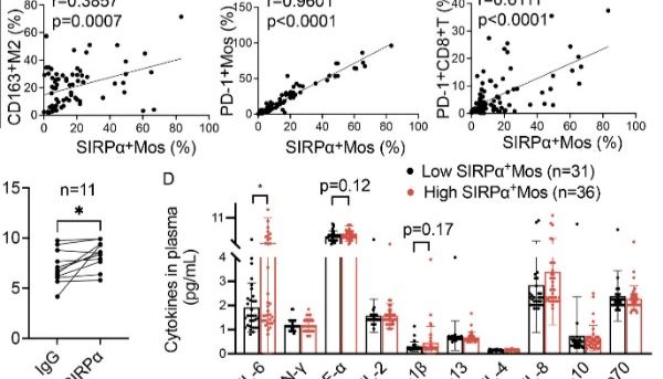 LabEx Luminex平台助力探索肿瘤治疗SIRPα阻断免疫治疗中联合靶向IL-6的效果
