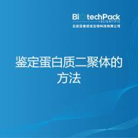 鉴定蛋白质二聚体的方法