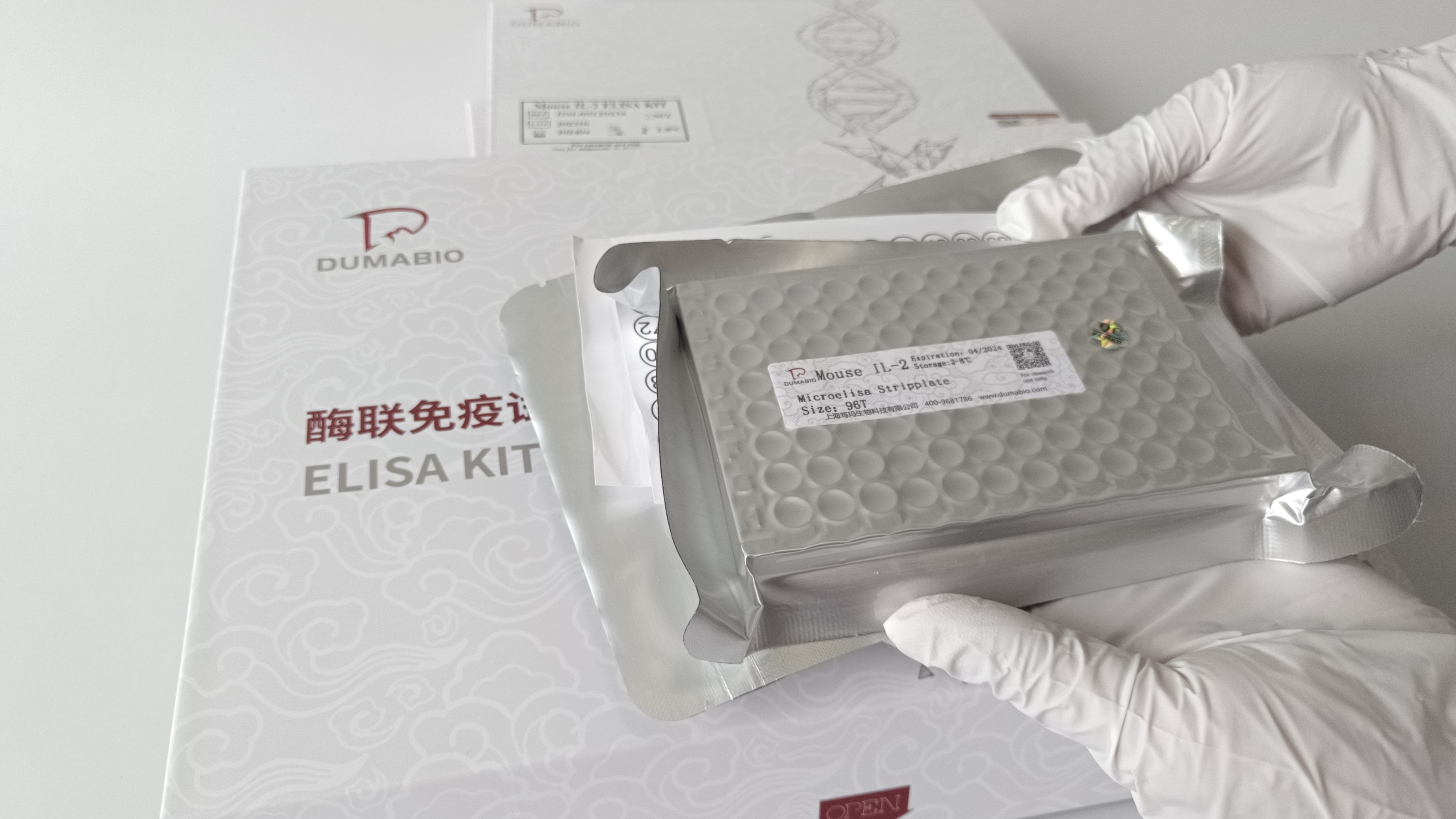 兔肌营养不良蛋白(DMD)酶联免疫试剂盒