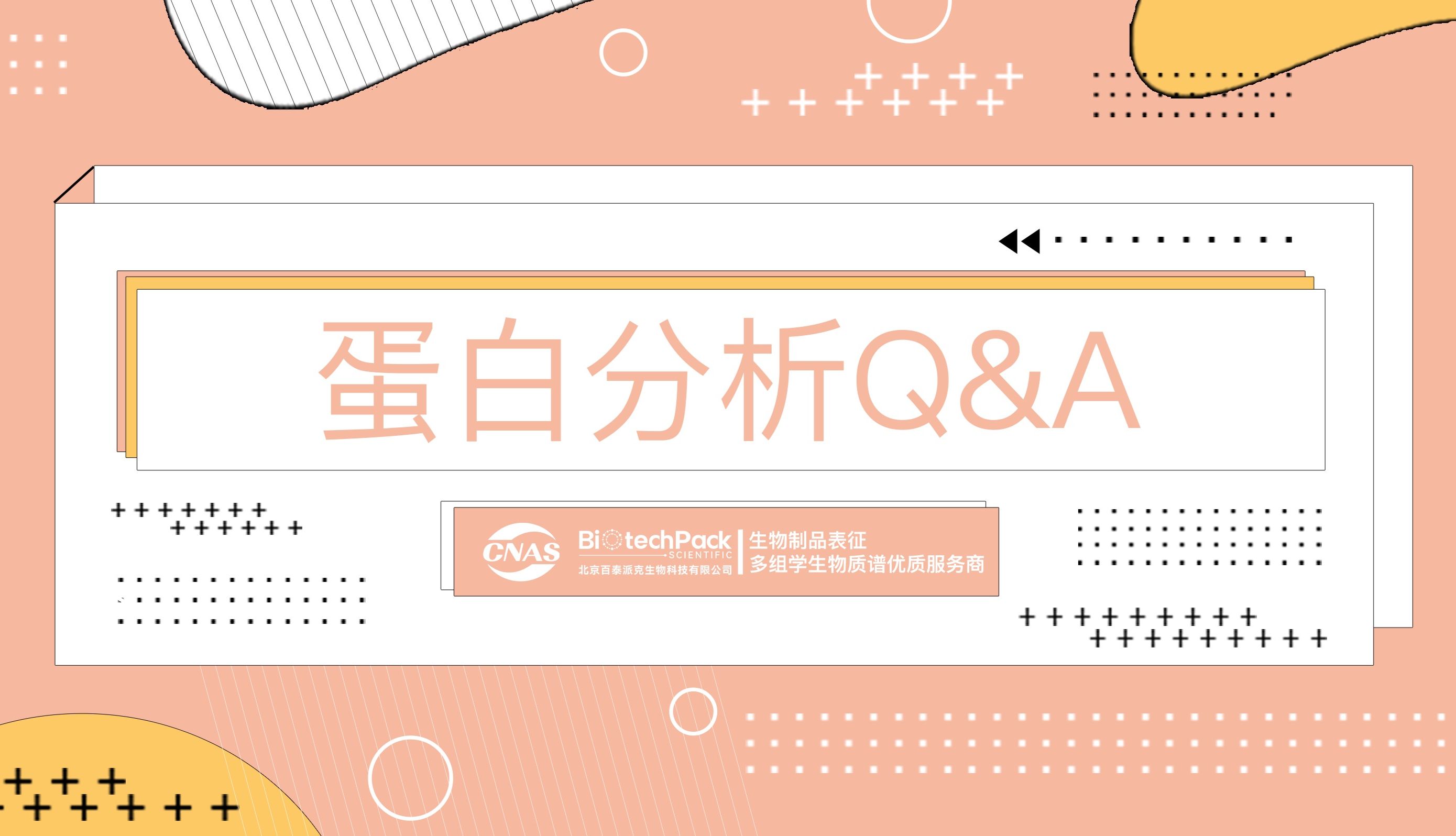 快来GET！蛋白分析常见问题与解答（二）