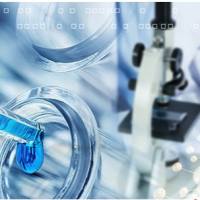 电镜服务 电镜制样    镜下预览观察样本 技术服务