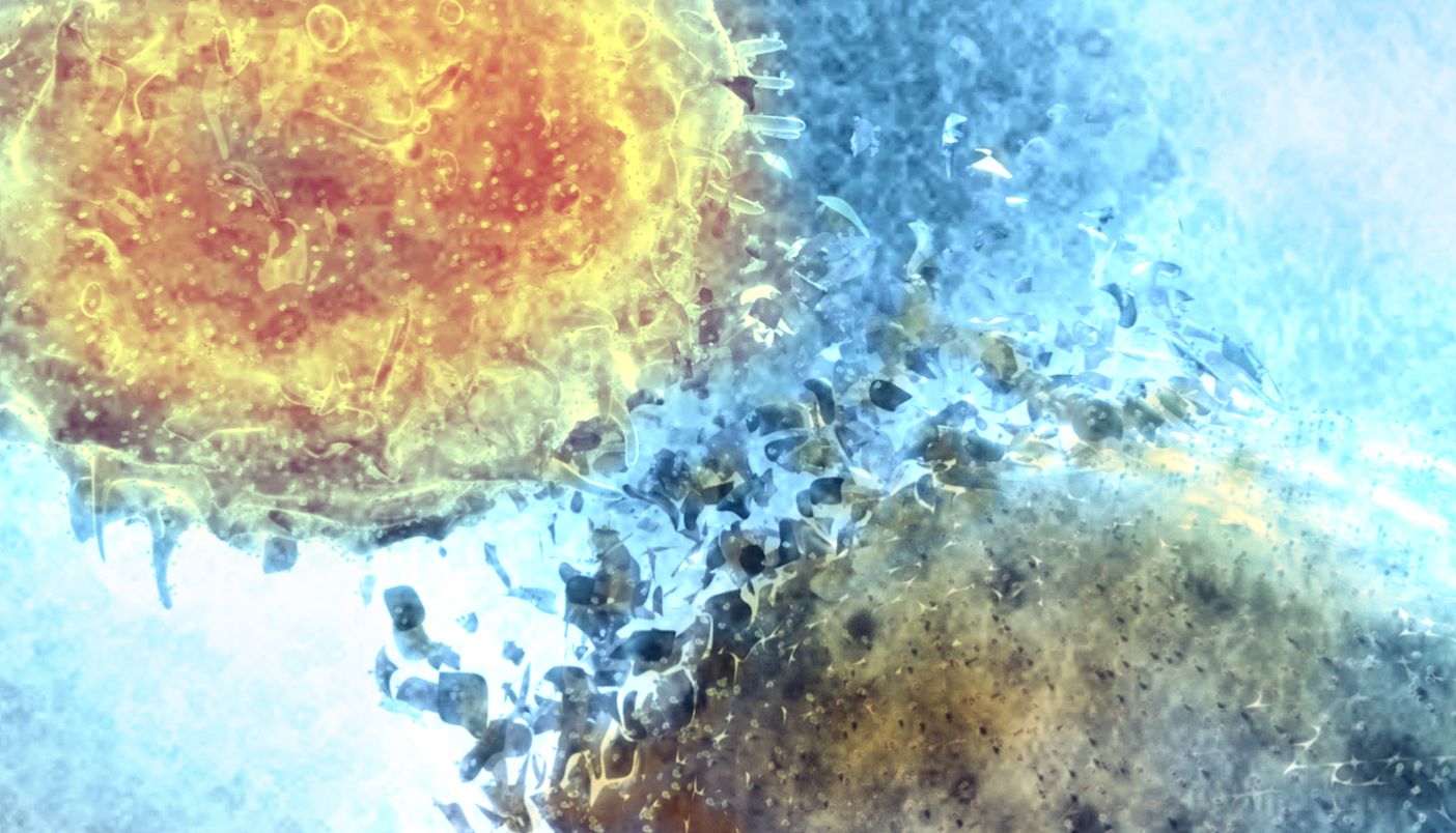 GeneTex新推出重组单抗TIGIT