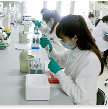 细胞毒性检测 技术服务