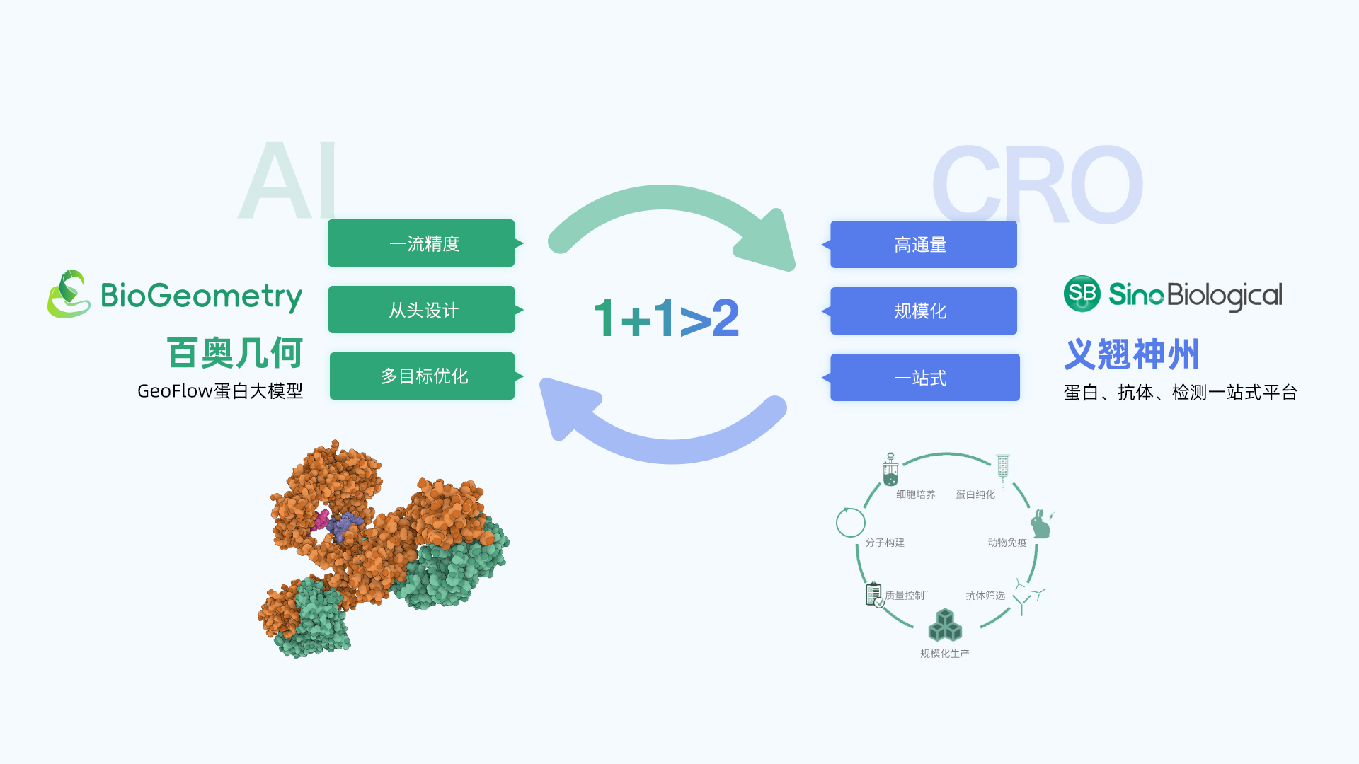 深化战略合作｜义翘神州与百奥几何扩大合作：生成式AI深度赋能蛋白研发