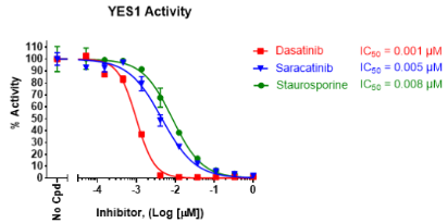 高灵敏度Chemi-Verse YES1激酶检测试剂盒促销中