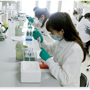 植物抗体定制服务 技术服务