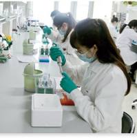 植物抗体定制服务 技术服务