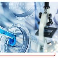 引物合成 DSL PAGE HPLC