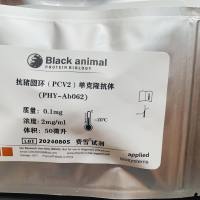 抗牛布鲁氏单克隆抗体